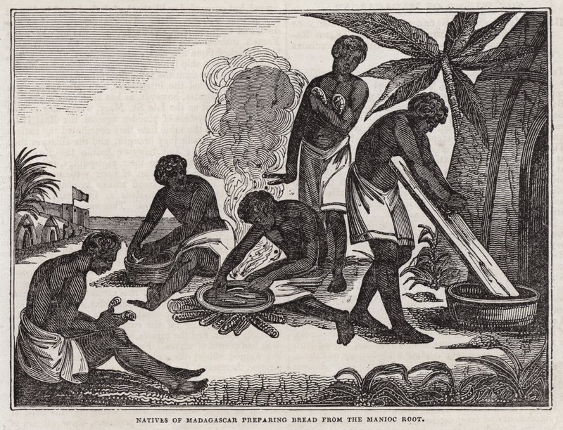 Infödda på Madagaskar förbereder bröd från maniokrot (gravyr) av English School