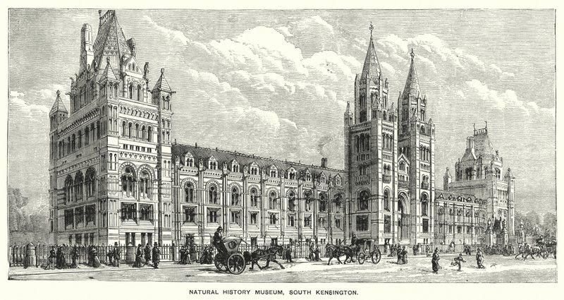 Natural History Museum, South Kensington (gravyr) av English School