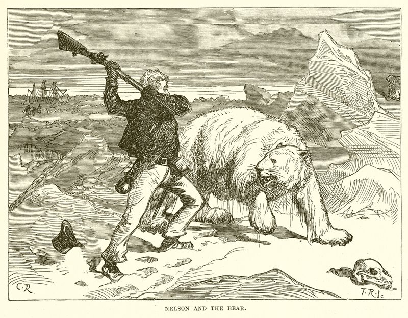 Nelson och björnen av English School