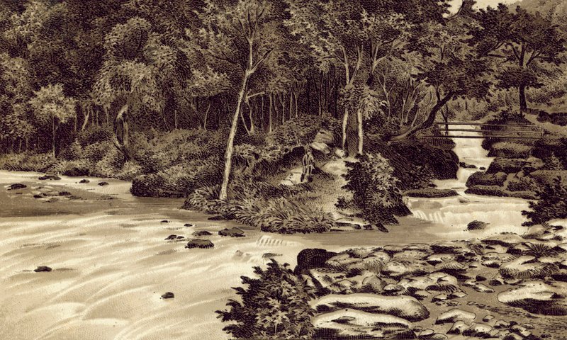 North Devon: "The Watersmeet", Lynmouth (litografi) av English School