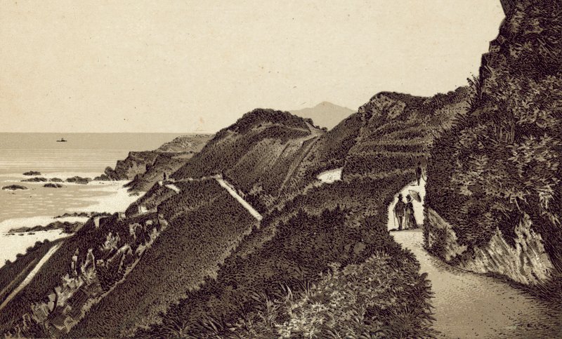 North Devon: Torrs Walks, vy mot öster (litografi) av English School