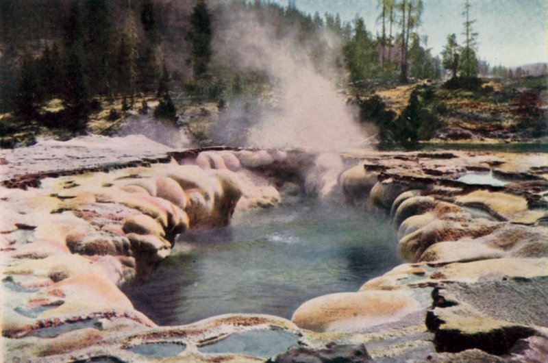 Avlång gejser, Yellowstone Park (färg litho) av English School