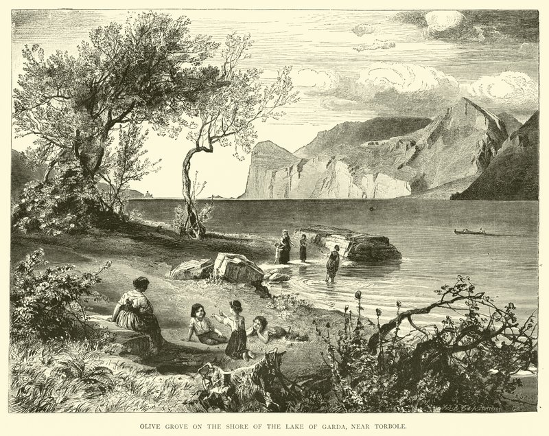 Olive Grove på stranden av Gardasjön, nära Torbole av English School