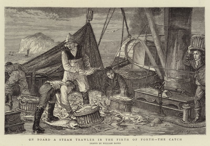 Ombord på en ångtrålare i Firth of Forth, fångsten av English School