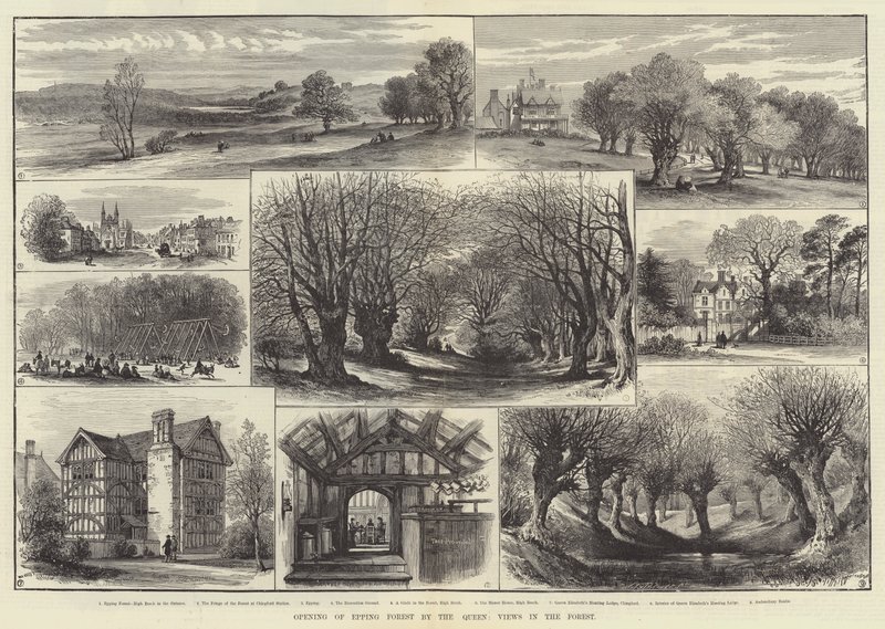 Invigning av Epping Forest by the Queen, Views in the Forest (gravyr) av English School