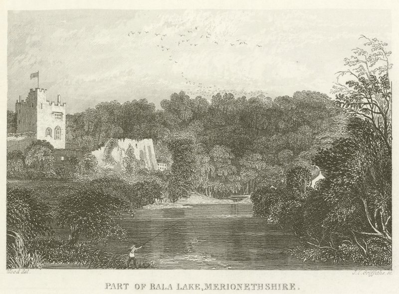 En del av Bala Lake, Merionethshire (gravyr) av English School