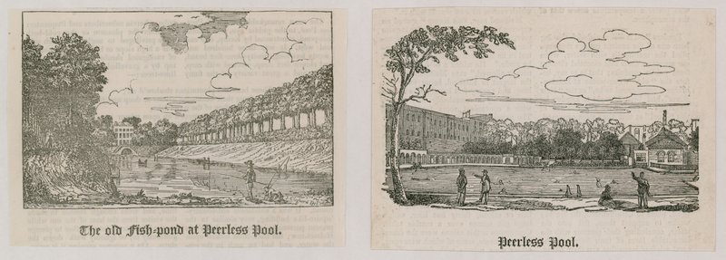 Peerless Pool av English School