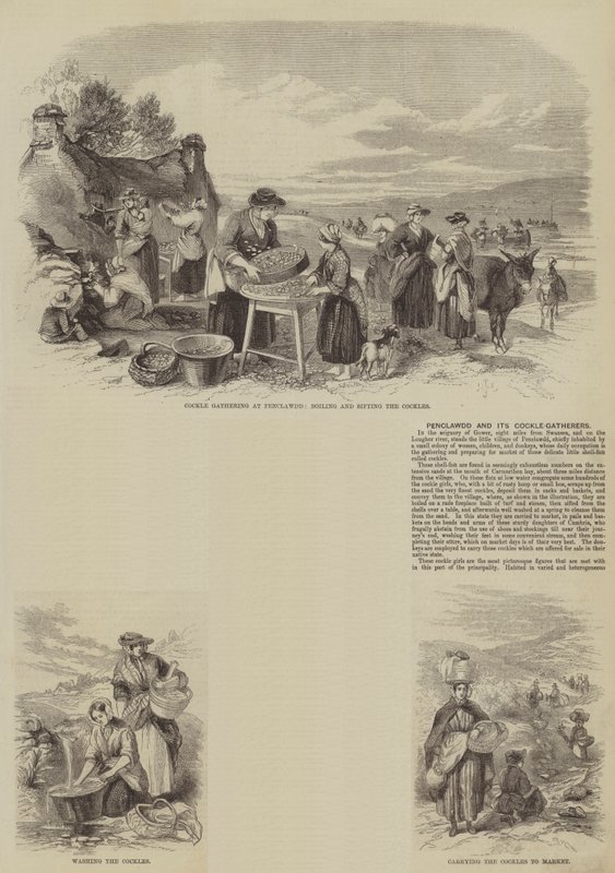 Penclawdd and its Cockle-Gatherers (gravyr) av English School