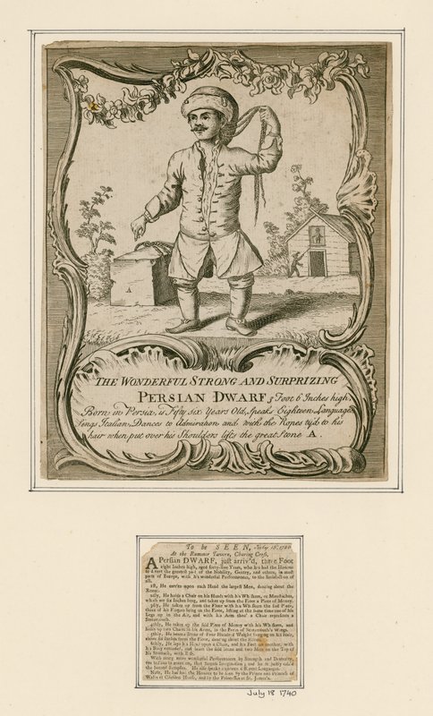 Persisk dvärg av English School