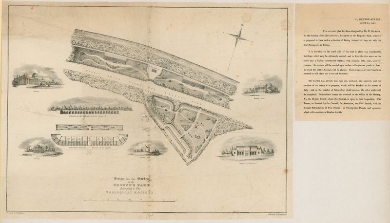 Plan för Zoological Gardens, Regents Park, 1827 av English School