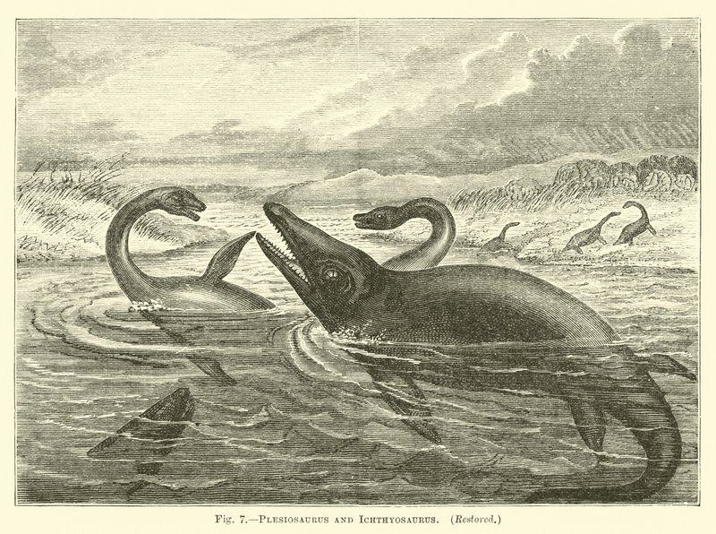 Plesiosaurus och Ichthyosaurus av English School