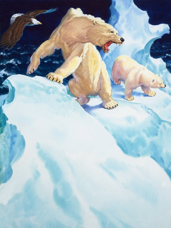 Isbjörnar och kungsörn (gouache på papper) av English School