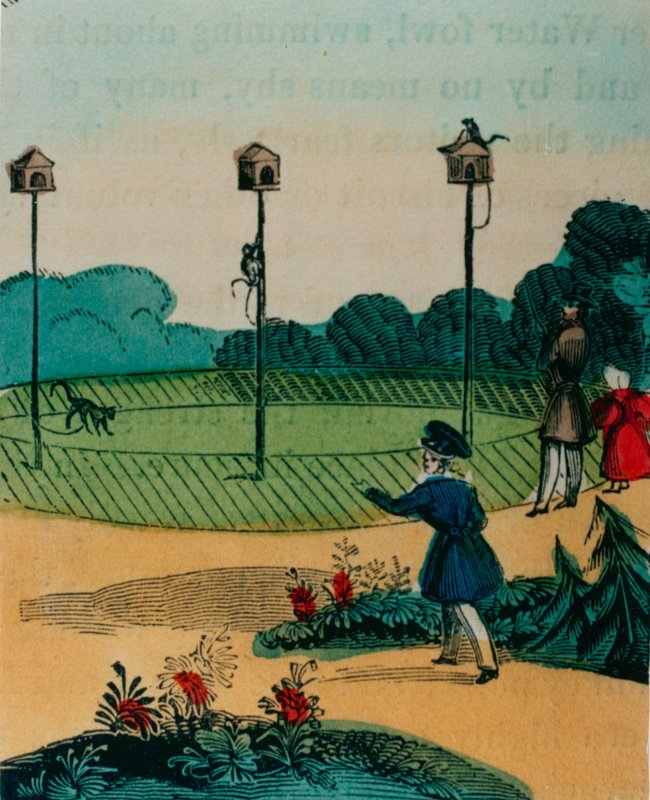 Pålar som apor var kedjade vid på sommaren som apor på en pinnleksak. 1840-talet av English School