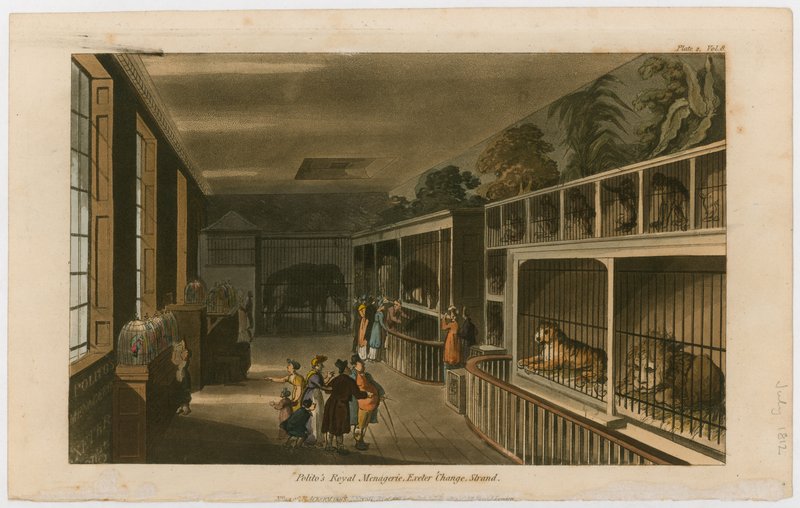 Politos Royal Menagerie, Exeter Change, Strand av English School