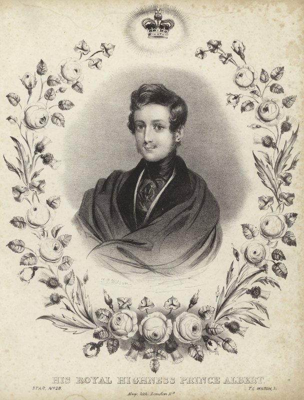 Porträtt av Albert, Prinsgemalen av English School