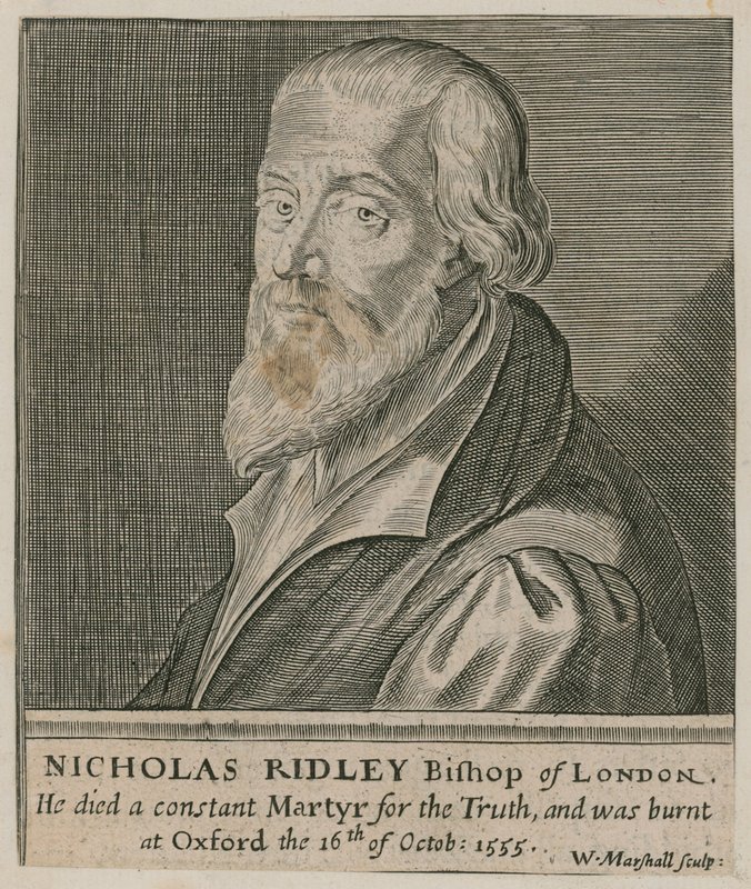 Porträtt av Nicholas Ridley av English School