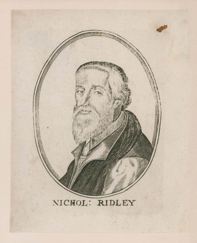 Porträtt av Nicholas Ridley av English School