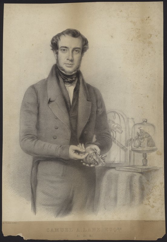 Porträtt av Samuel Armstrong Lane av English School