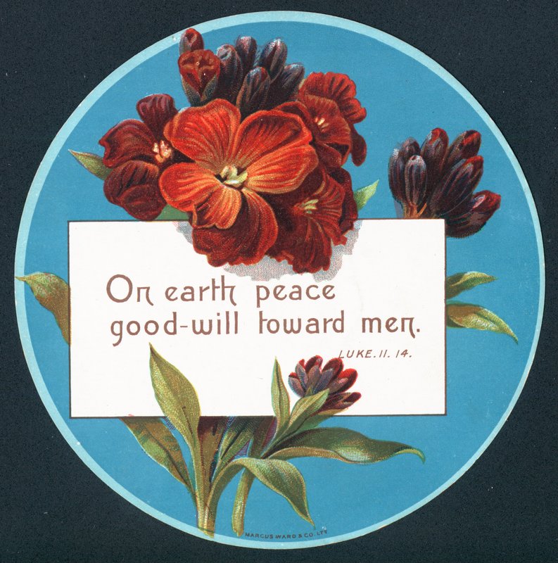Primrosor, julkort (chromolitho) av English School
