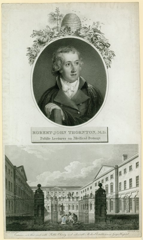 Professor John Thornton, offentlig lektor i medicinsk botanik av English School