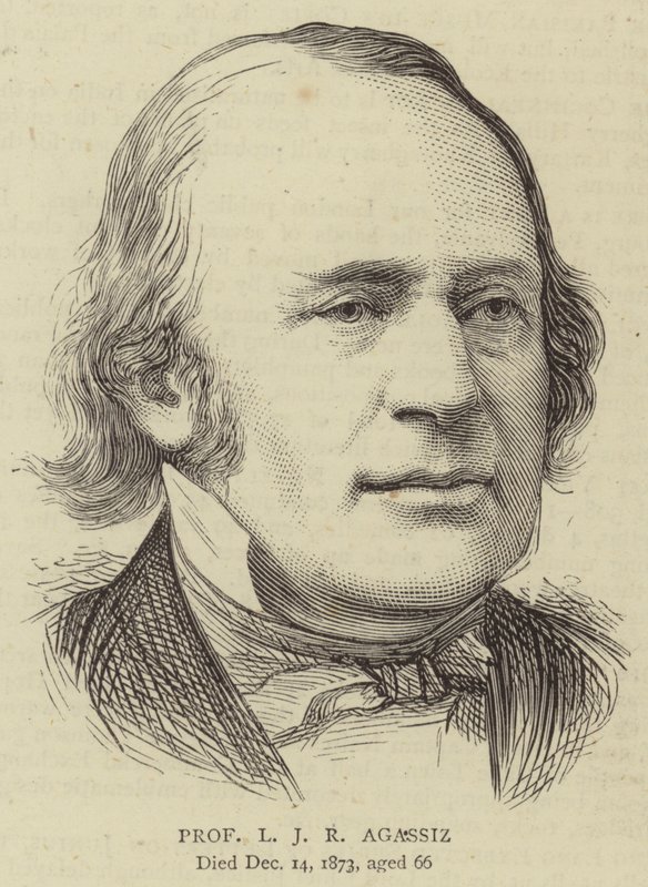 Professor L J R Agassiz (gravyr) av English School