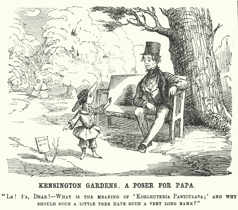 Punch tecknad: barn ställer en fråga till sin pappa i Kensington Gardens, London (gravyr) av English School