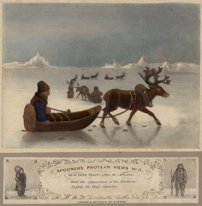 Renar på resande fot i Lappland av English School