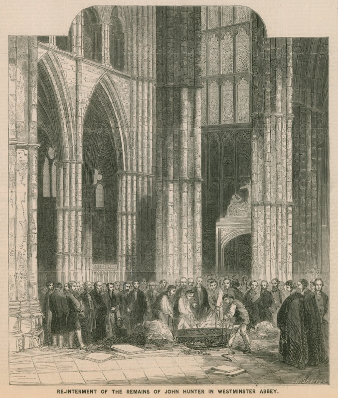 Återbegravningen av John Hunters finns kvar i Westminster Abbey av English School