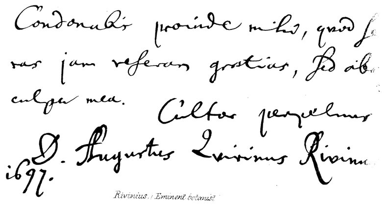 Rivinius, (framstående botaniker) av English School
