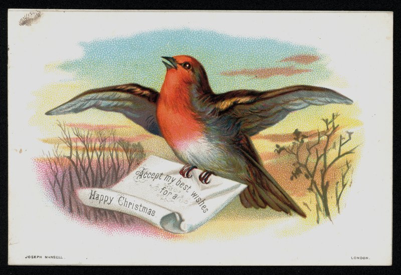 Robin med ett julmeddelande, gratulationskort. (chromolitho) av English School