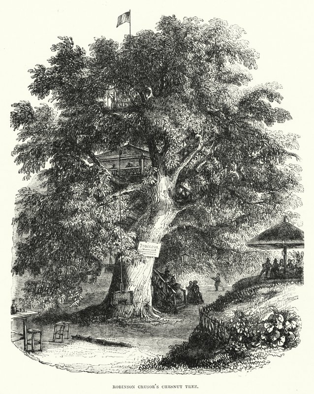 Robinson Crusoes kastanjeträd (gravyr) av English School