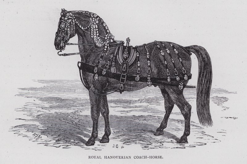 Royal Hannoverian Coach-Horse (gravyr) av English School