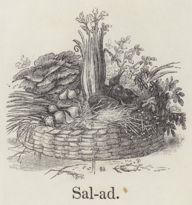 Sallad (gravyr) av English School