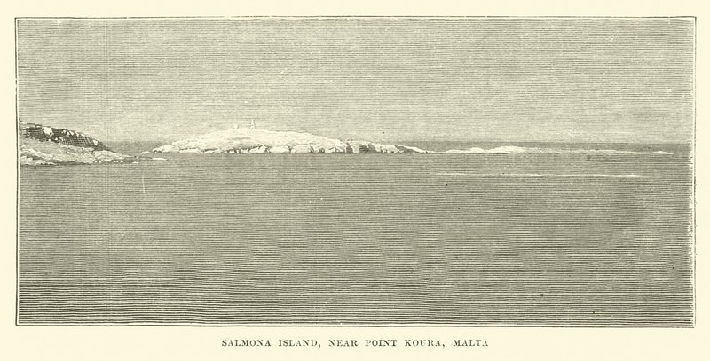 Salmona Island, nära Point Koura, Malta av English School