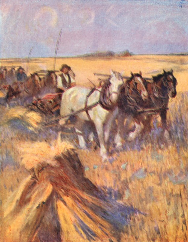 Saskatchewan, den moderna skotten på sin självbindare (färglitografi) av English School