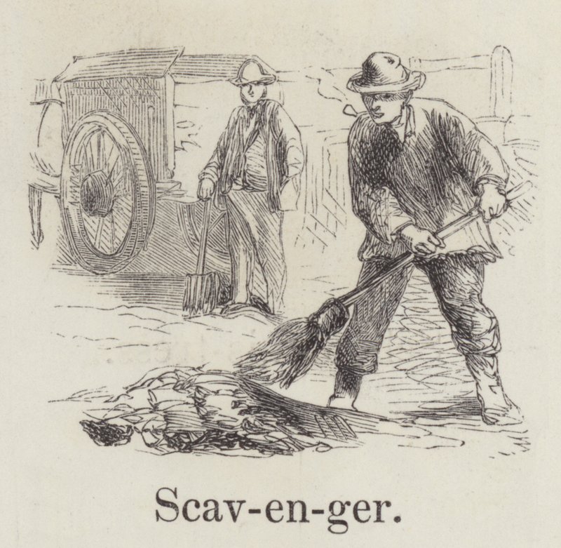 Scavenger (gravyr) av English School
