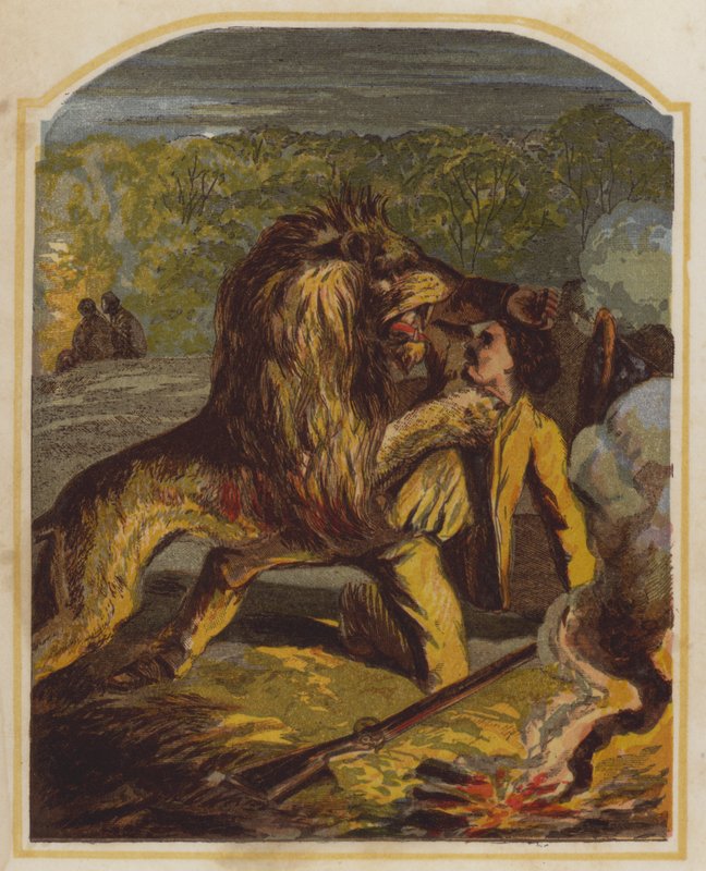 Den skotske missionären David Livingstone attackeras av ett lejon i Afrika (chromolitho) av English School
