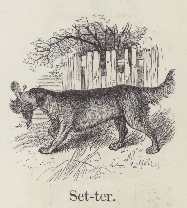Setter (gravyr) av English School