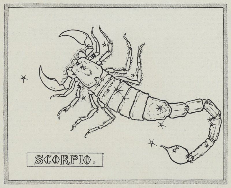 Zodiakens tecken: Skorpionen (gravyr) av English School