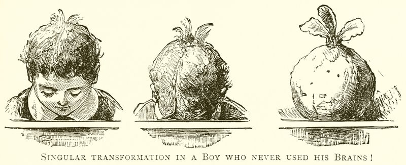 Singular transformation i en pojke som aldrig använde sina hjärnor! av English School