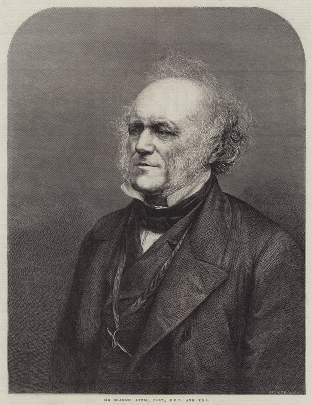 Sir Charles Lyell, Baronet, DCL och FRS (gravyr) av English School