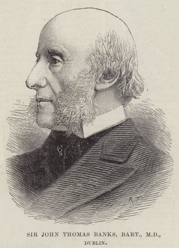 Sir John Thomas Banks, Baronet, MD, Dublin (gravyr) av English School