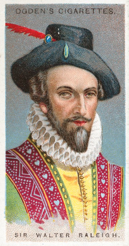 Sir Walter Raleigh av English School