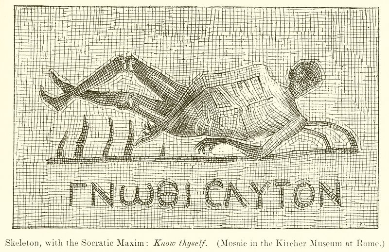 Skelett, med den sokratiska maximen: Känn dig själv. (Mosaik i Kircher-museet i Rom) av English School