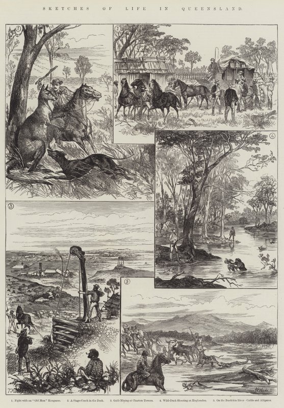 Sketches of Life in Queensland (gravyr) av English School