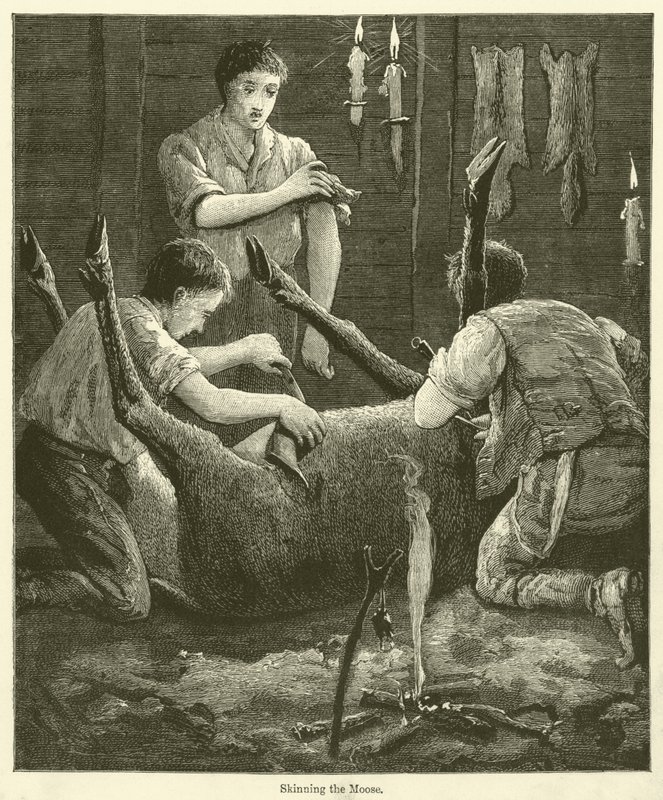 Flå älgen (gravyr) av English School
