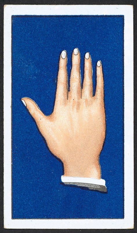 Släta spetsiga fingerhänder (färg litho) av English School