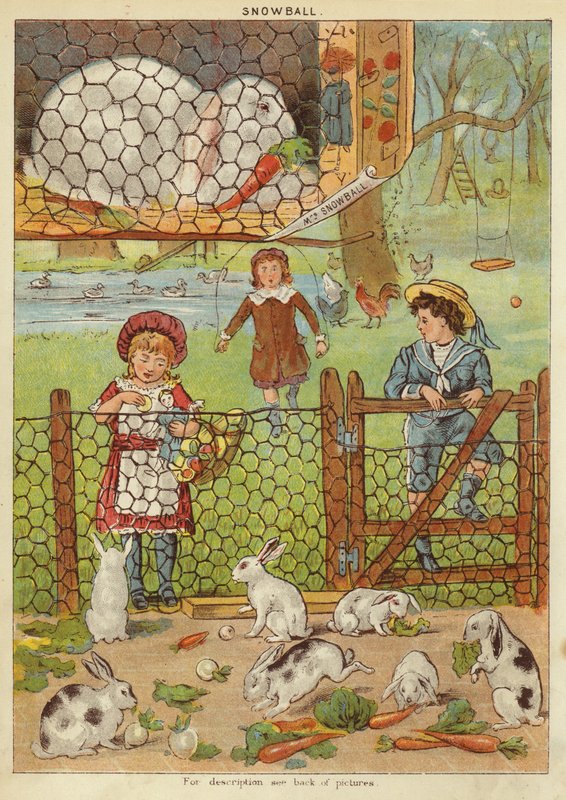 Snowball (chromolitho) av English School