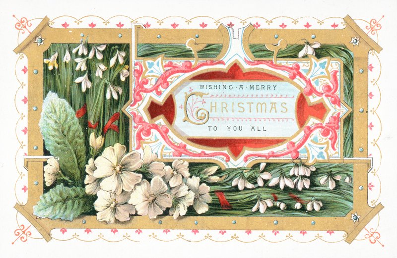 Snödroppar och blommor, julkort av English School