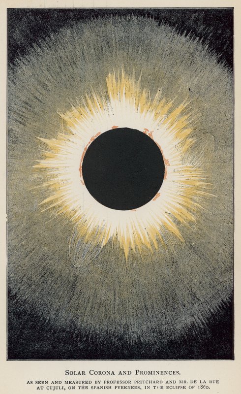 Solar Corona och Prominenser, sett och mätt av Professor Pritchard och Mr De La Rue (färg litho) av English School